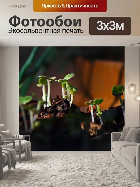Фотообои нежная рассада