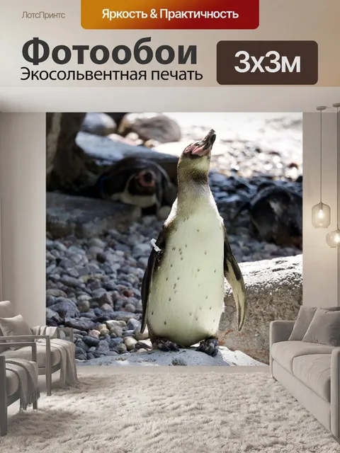 Фотообои Зоопарк