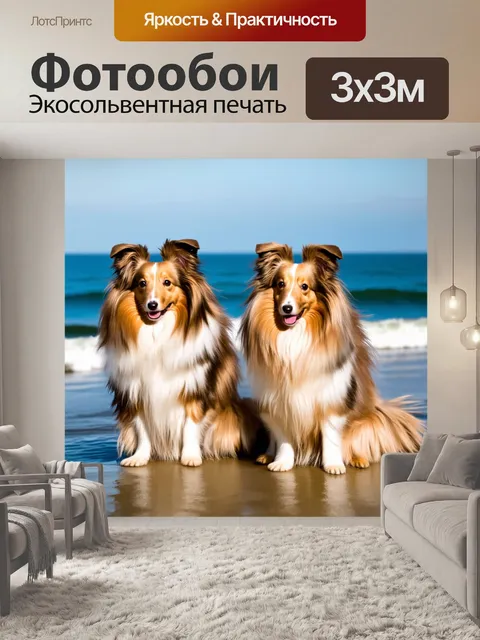 Фотообои статичное изображение двух шелти, сидящих на берегу океана, их шерсть блестит на солнце