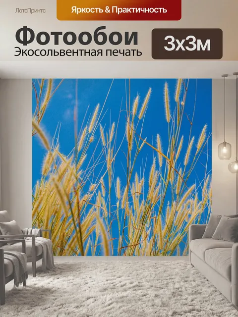 Фотообои фон маленький полевой цветок