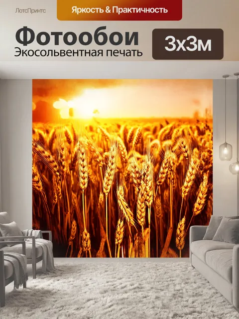 Фотообои просторное поле пшеницы, залитое лучами заката, превращает колосья в сияющие золотые волны