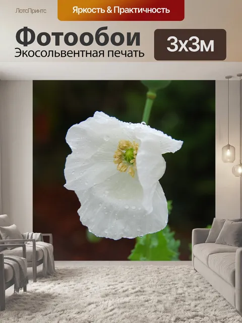 Фотообои Мак