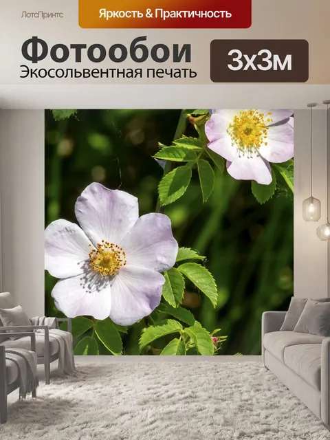 Фотообои Уайлдфлауэр