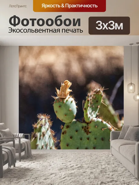 Фотообои цветущий нопальный кактус