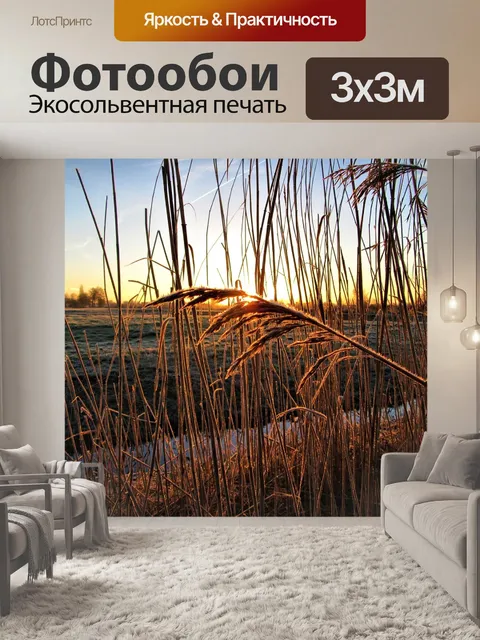 Фотообои Тростник