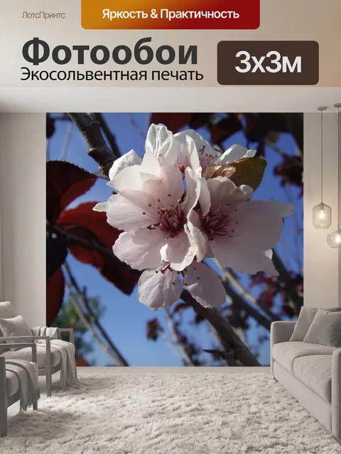 Фотообои Сливы цветок