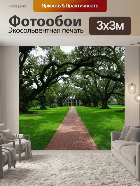 Фотообои Дубовая аллея