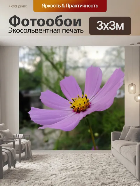 Фотообои Цветок