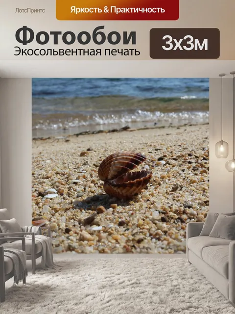 Фотообои Морская ракушка