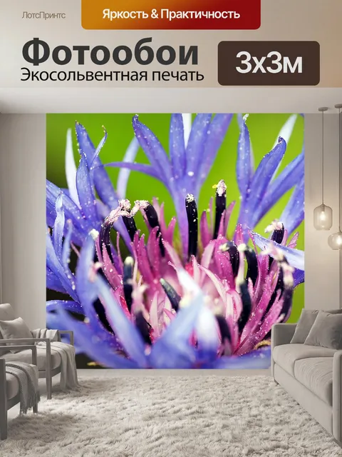 Фотообои Василек