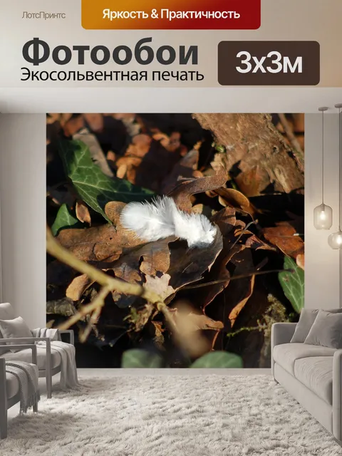 Фотообои Перо