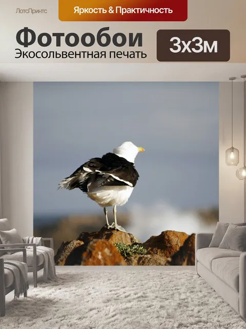 Фотообои Южная африка