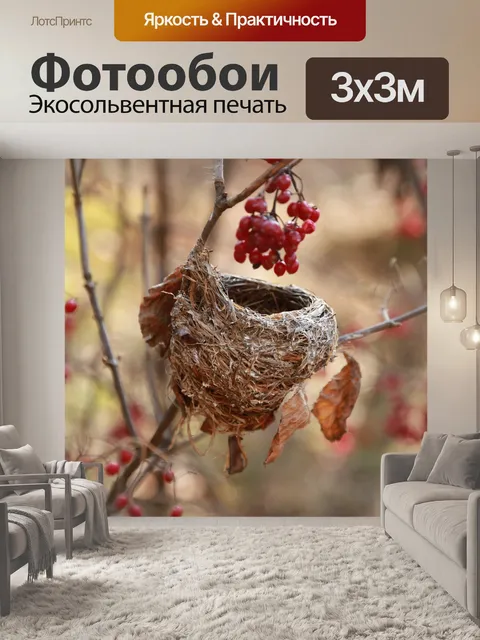 Фотообои Птичье гнездо