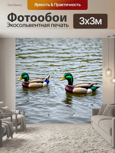 Фотообои озеро с утками: утки плавают и веселятся на воде
