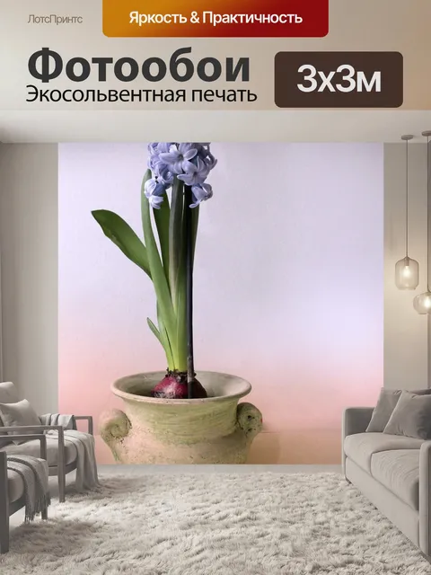 Фотообои Гиацинт