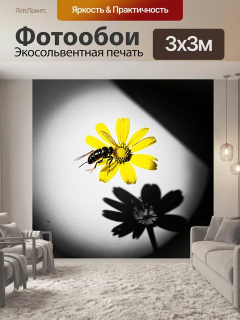 Фотообои черно-белая фотография
