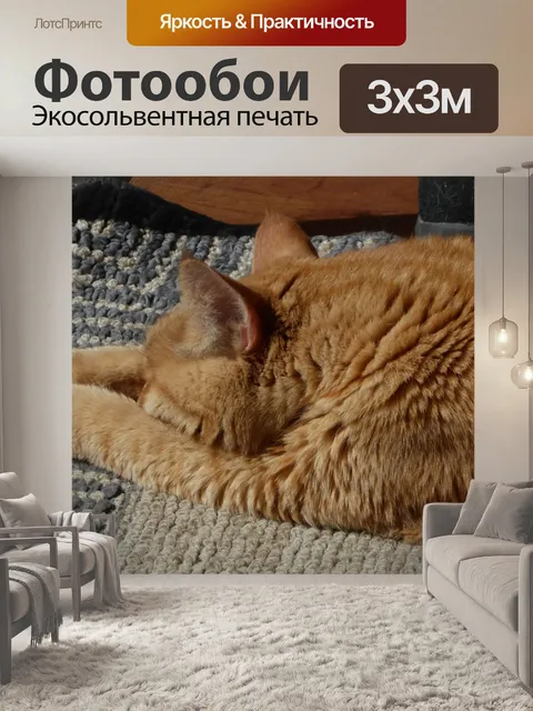 Фотообои Спящая кошка