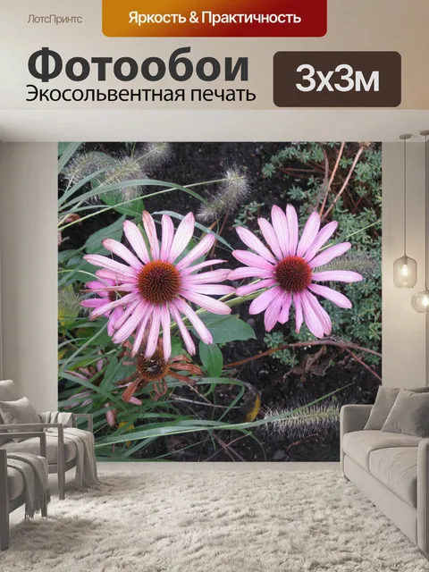 Фотообои Фиолетовый цветок конуса в зеленом гнезд