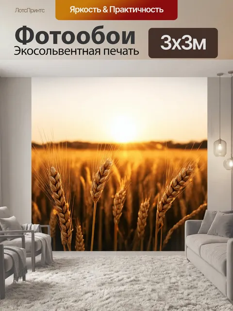 Фотообои утро представляют собой спокойное поле с колосьями пшеницы, которые колышутся от легкого ветерка