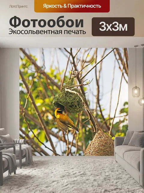 Фотообои южный маскированный ткач