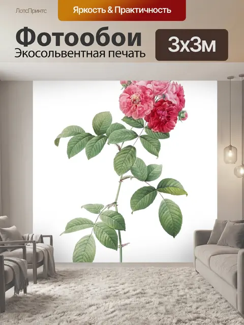Фотообои Роза Винтаж Искусство Клипарт