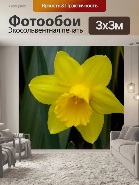 Фотообои Красивый весенний нарцисс