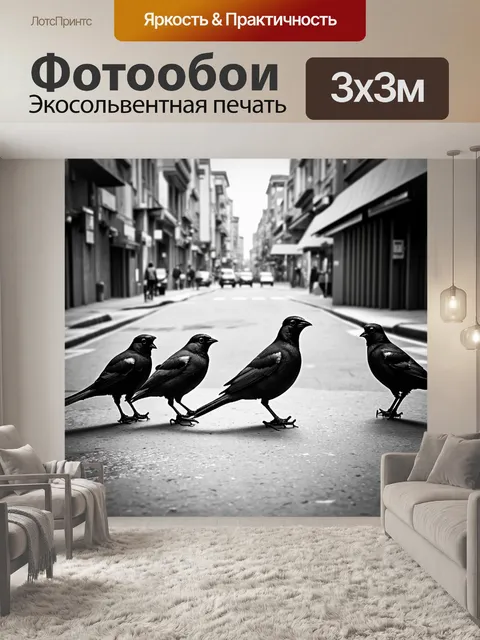 Фотообои птицы, собирающиеся на углу улицы, передавая дух городского пейзажа, документальная фотография в черно-белом