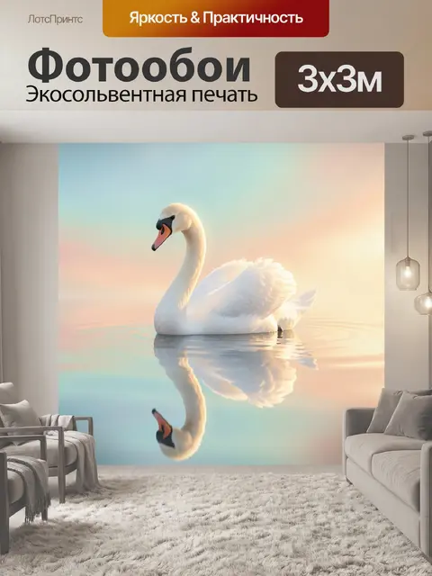 Фотообои Белый лебедь на воде