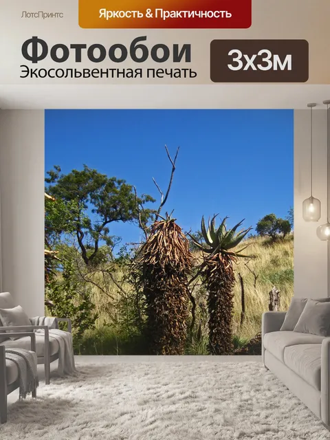 Фотообои мертвая гора алоэ рядом с жизнеспособным