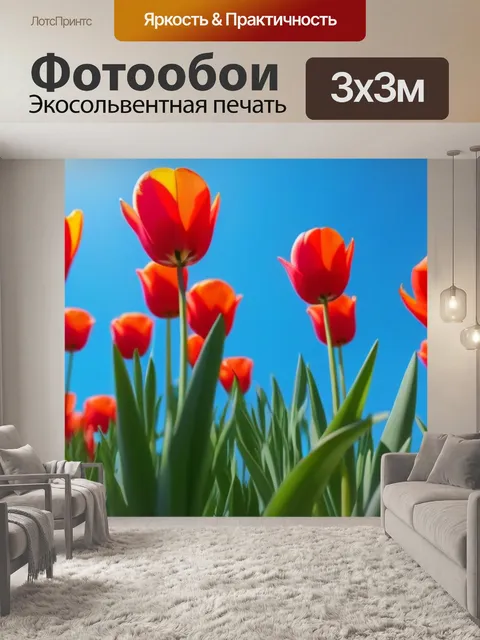Фотообои тюльпаны под чистым голубым небом