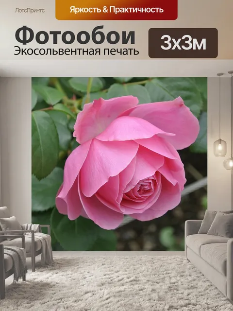 Фотообои Розы