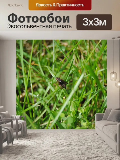 Фотообои Крикет на траве