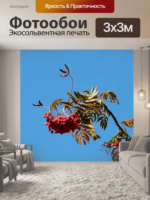 Фотообои Рябина