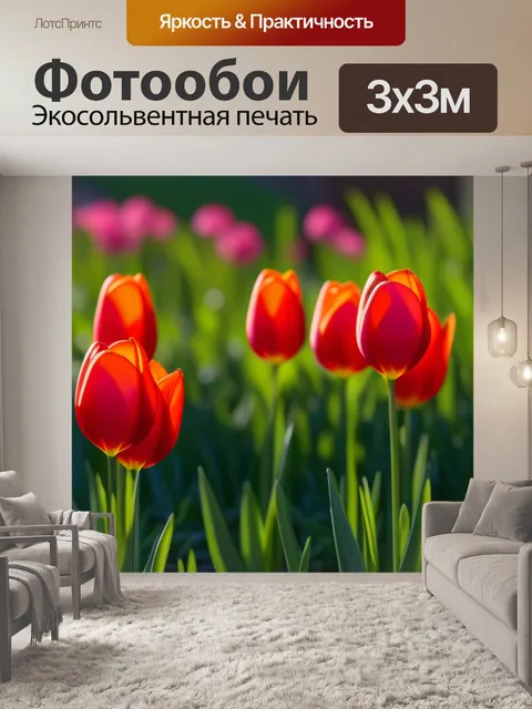 Фотообои тюльпаны в утреннем свете