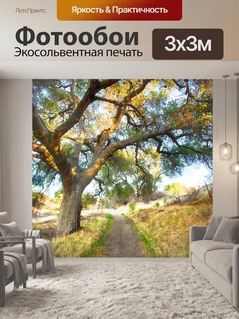Фотообои Путь к ранчо