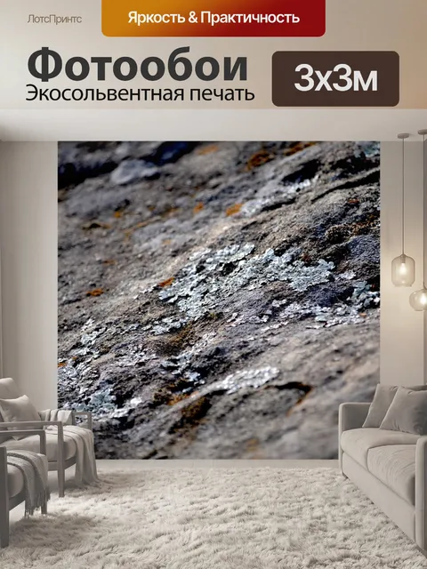 Фотообои Мох на рок-Фон