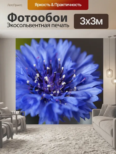 Фотообои Васильковый