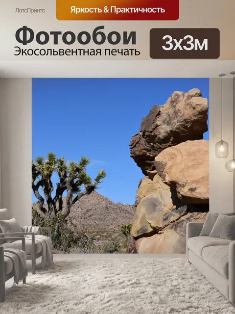 Фотообои Юкка дерево и валуны