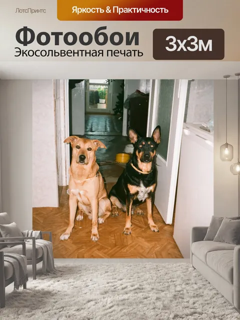 Фотообои Собаки "жилье"