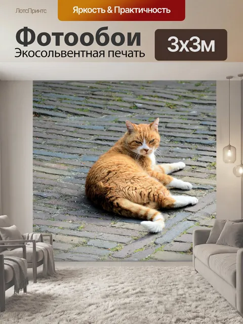 Фотообои Кошки 7