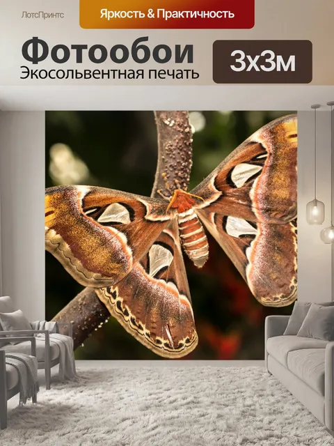 Фотообои Сад бабочек бенальмадена