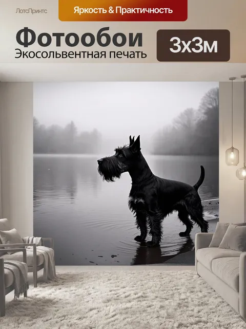 Фотообои шотландский терьер, наслаждающийся моментом на берегу озера, покрытого ранним туманом
