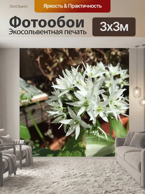 Фотообои Дикий чеснок