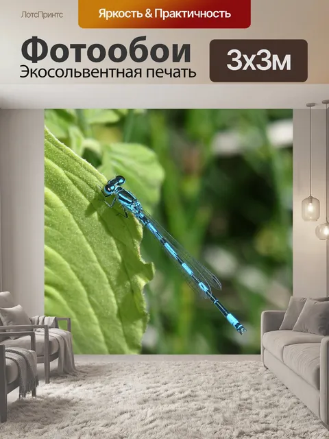 Фотообои Стрекоза
