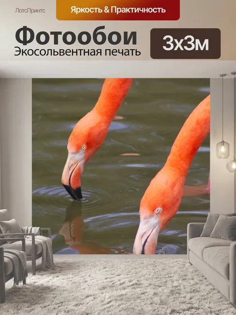Фотообои Животные