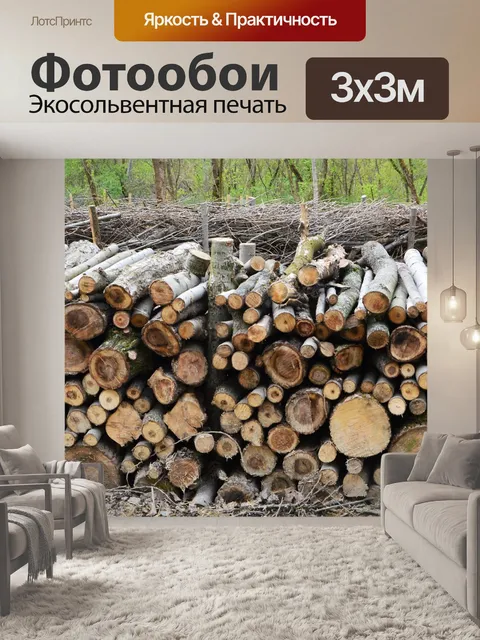 Фотообои Сухостой кучу