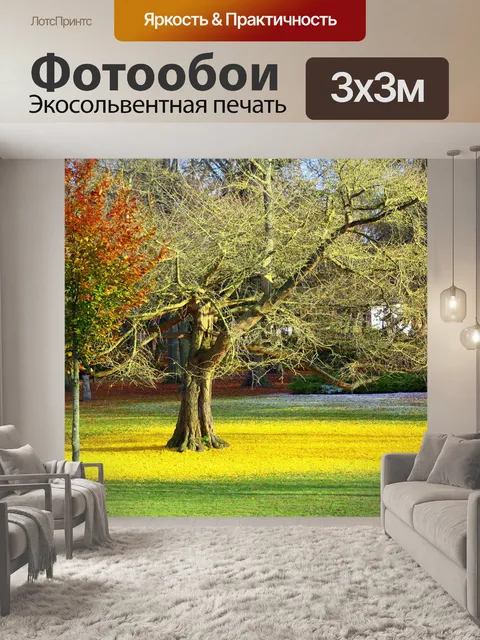 Фотообои Гинкго