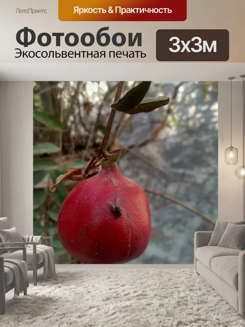Фотообои Фрукты