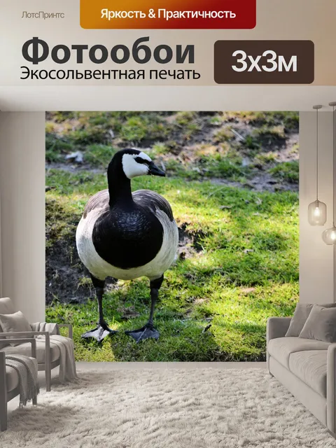 Фотообои Гусь