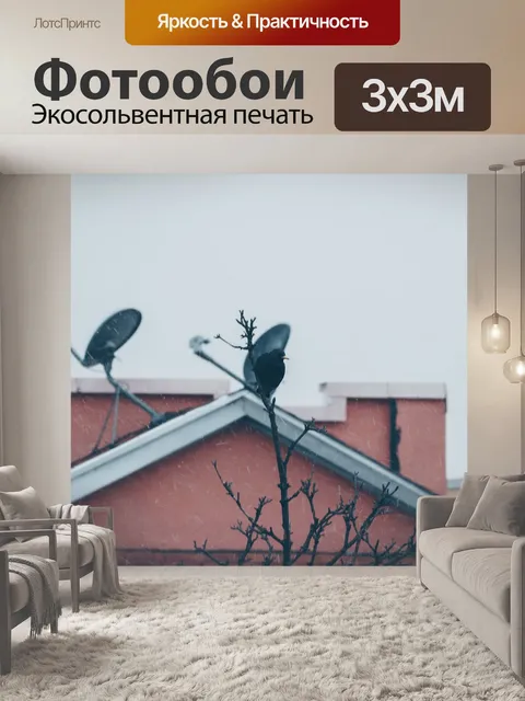 Фотообои Птицы
